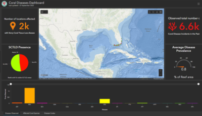image of coral disease dashboard
