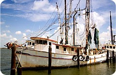 Fishery Management – Gulf of Mexico Fishery Management Council