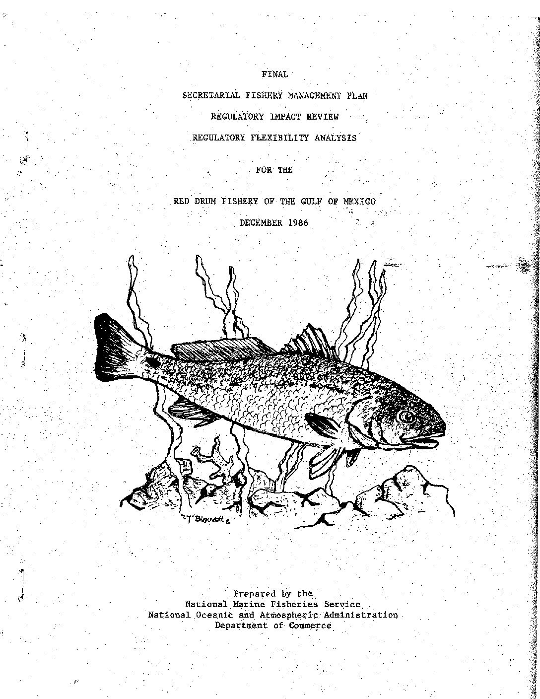 Original Fishery Management Plan – Gulf of Mexico Fishery Management ...