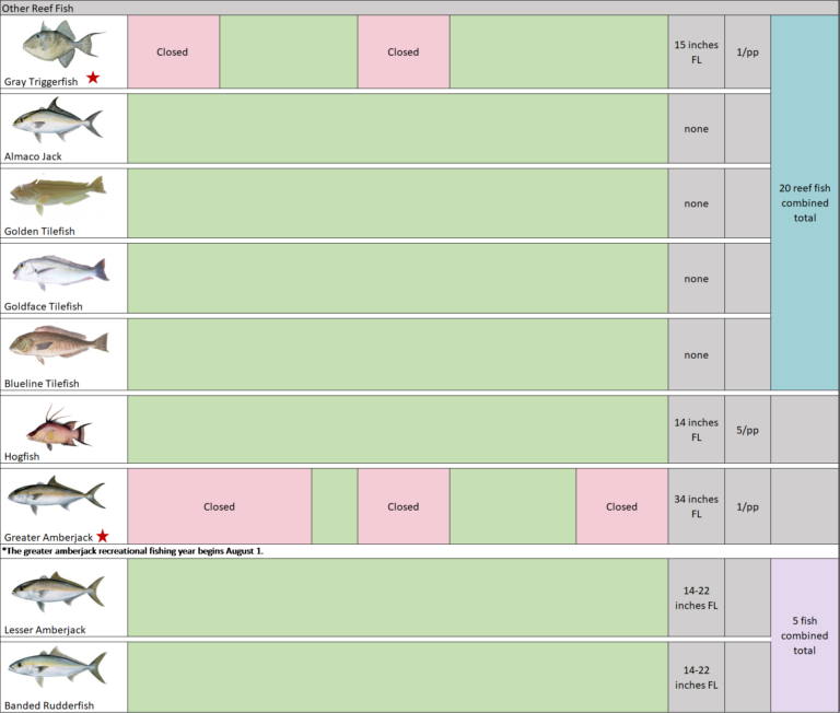 2019 charted hunting and fish timetable