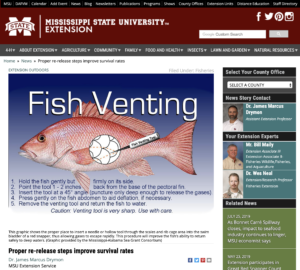 Fish Venting