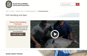Fish Handling and Gear