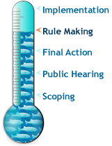 rule-making-thermometer