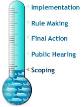 scoping-thermometer